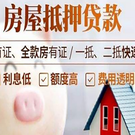 桐城贷款助贷公司新渝启服靠谱公司
